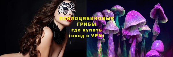 гашик Алексин
