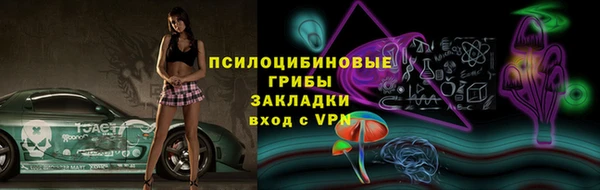 гашик Алексин