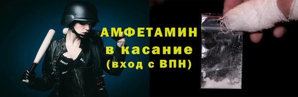 гашик Алексин