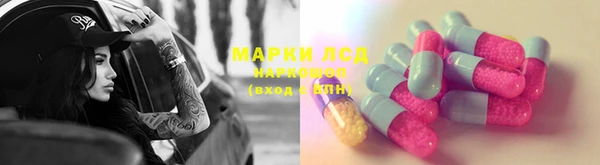 гашик Алексин