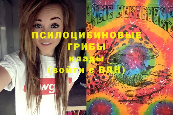 гашик Алексин