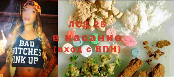 гашик Алексин