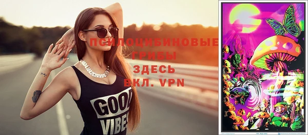 гашик Алексин