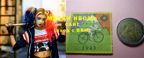 гашик Алексин
