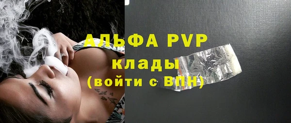 гашик Алексин