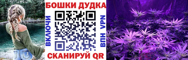 Каннабис ГИДРОПОН  Светлоград 